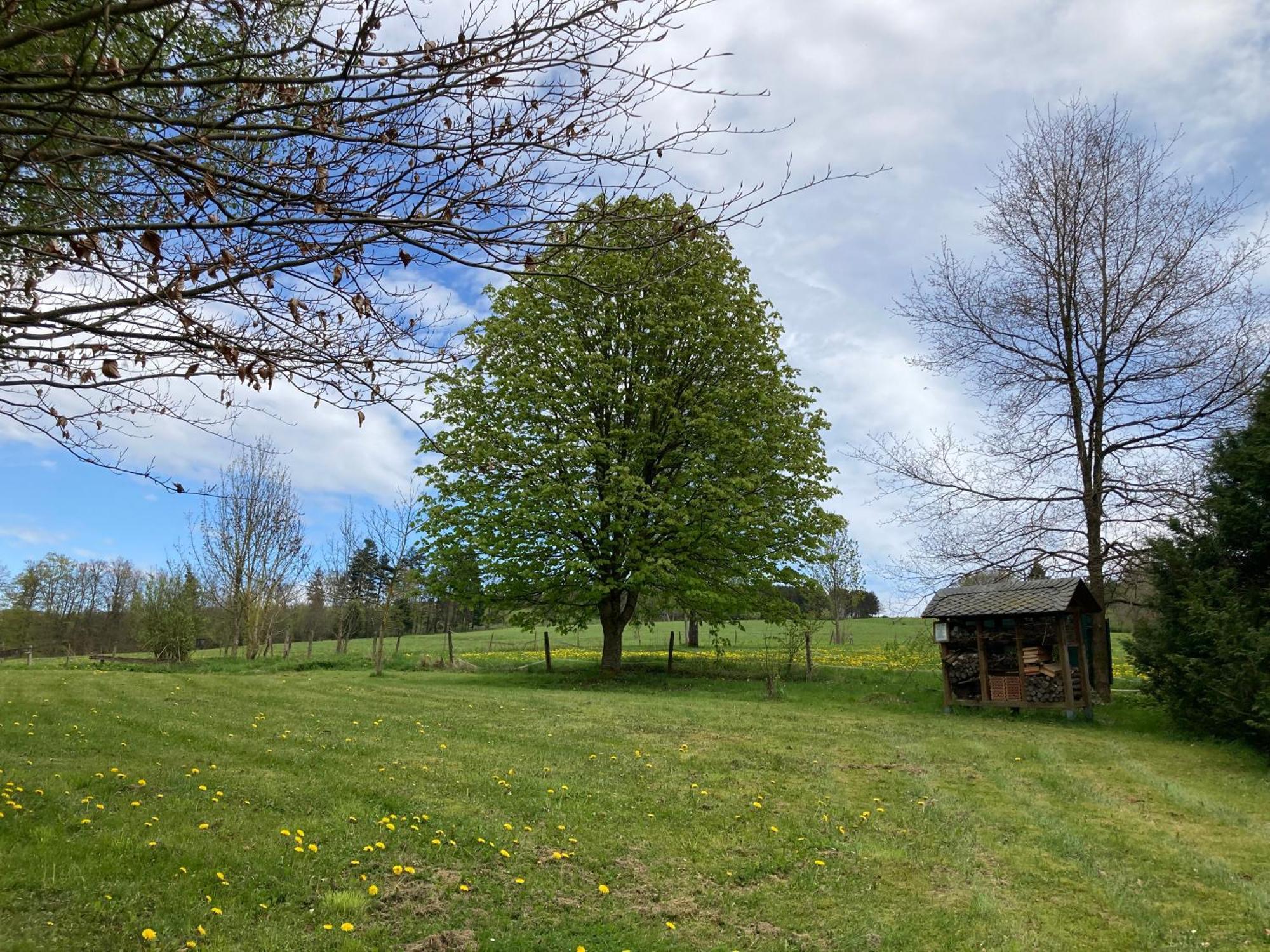 Gasthof Walhalja Schmallenberg Zewnętrze zdjęcie